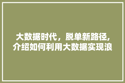 大数据时代，脱单新路径,介绍如何利用大数据实现浪漫邂逅