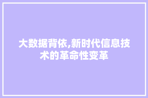 大数据背依,新时代信息技术的革命性变革