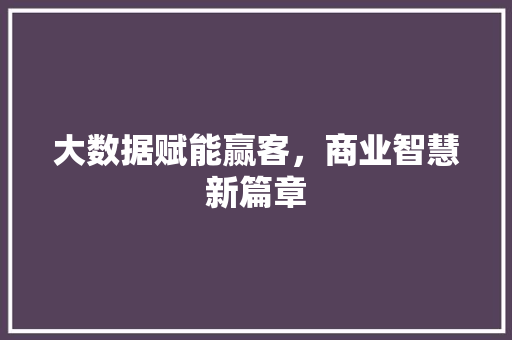 大数据赋能赢客，商业智慧新篇章
