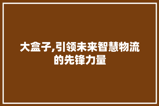 大盒子,引领未来智慧物流的先锋力量