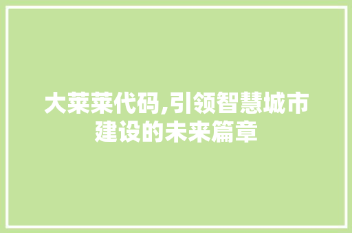 大莱莱代码,引领智慧城市建设的未来篇章