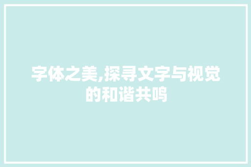 字体之美,探寻文字与视觉的和谐共鸣
