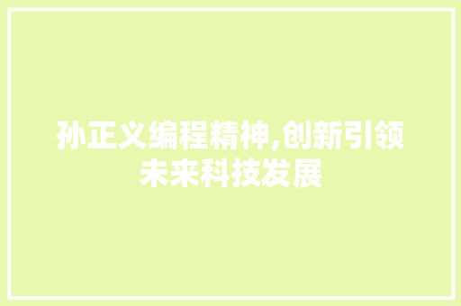 孙正义编程精神,创新引领未来科技发展