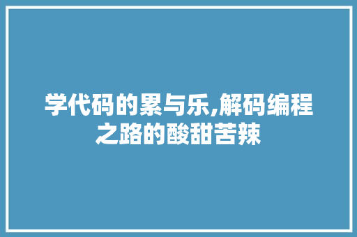 学代码的累与乐,解码编程之路的酸甜苦辣