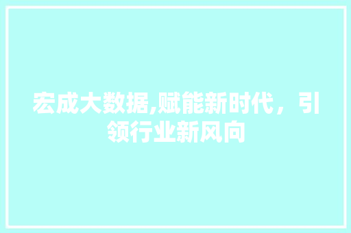 宏成大数据,赋能新时代，引领行业新风向
