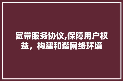 宽带服务协议,保障用户权益，构建和谐网络环境