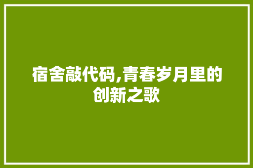 宿舍敲代码,青春岁月里的创新之歌 农业常识