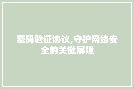密码验证协议,守护网络安全的关键屏障