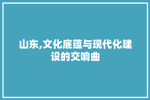 山东,文化底蕴与现代化建设的交响曲