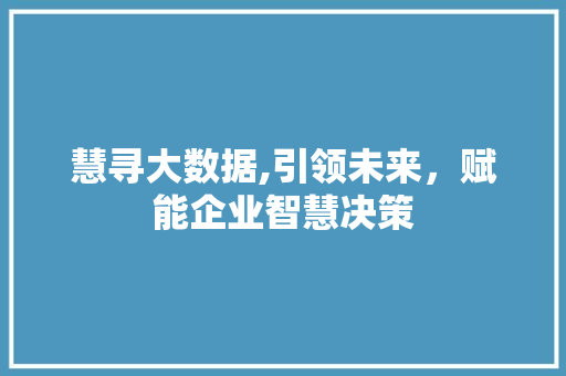 慧寻大数据,引领未来，赋能企业智慧决策