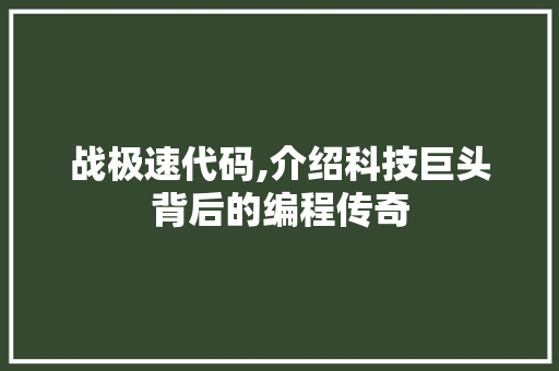 战极速代码,介绍科技巨头背后的编程传奇