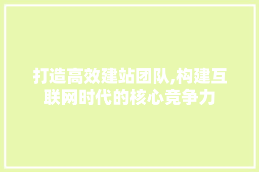 打造高效建站团队,构建互联网时代的核心竞争力