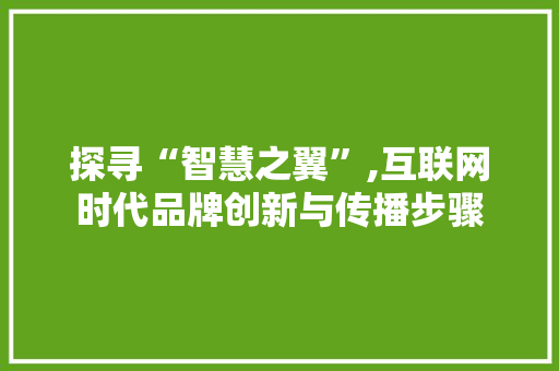 探寻“智慧之翼”,互联网时代品牌创新与传播步骤