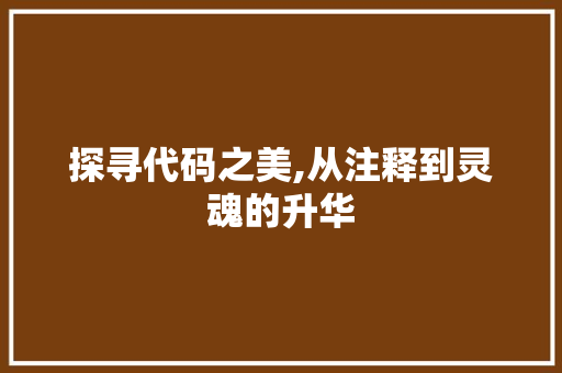 探寻代码之美,从注释到灵魂的升华