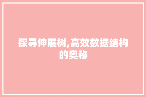 探寻伸展树,高效数据结构的奥秘