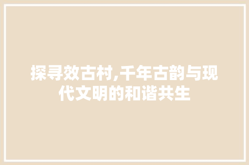 探寻效古村,千年古韵与现代文明的和谐共生
