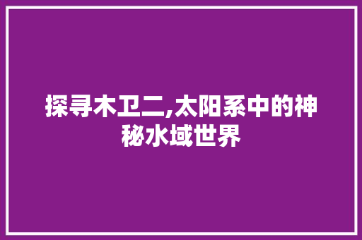 探寻木卫二,太阳系中的神秘水域世界