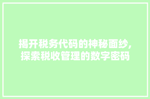 揭开税务代码的神秘面纱,探索税收管理的数字密码