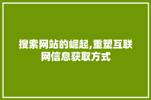 搜索网站的崛起,重塑互联网信息获取方式