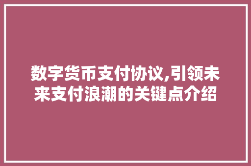 数字货币支付协议,引领未来支付浪潮的关键点介绍