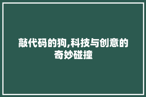 敲代码的狗,科技与创意的奇妙碰撞
