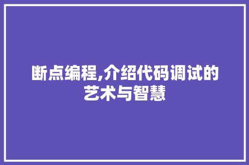 断点编程,介绍代码调试的艺术与智慧