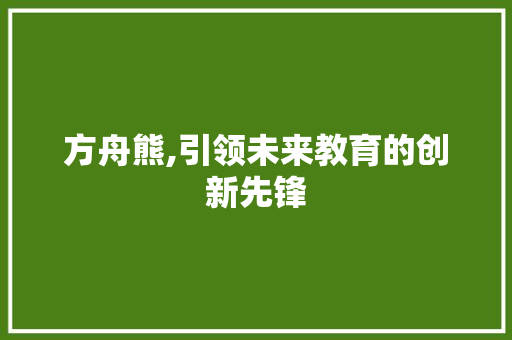 方舟熊,引领未来教育的创新先锋