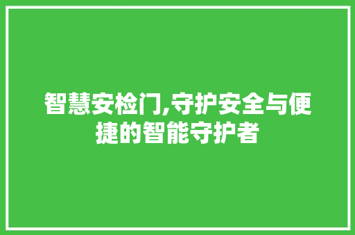 智慧安检门,守护安全与便捷的智能守护者