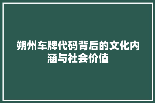 朔州车牌代码背后的文化内涵与社会价值