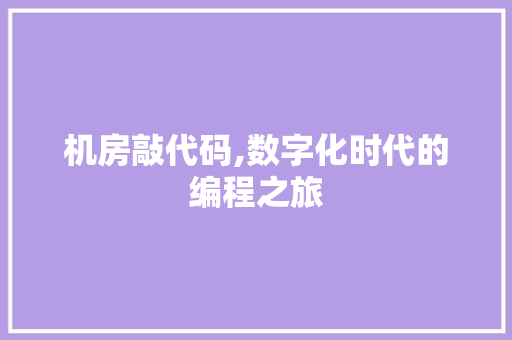 机房敲代码,数字化时代的编程之旅 番茄种植技巧