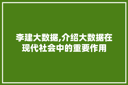 李建大数据,介绍大数据在现代社会中的重要作用