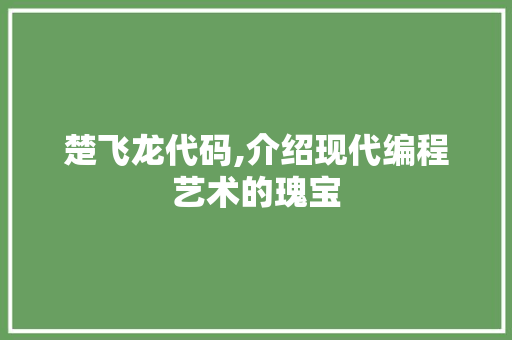楚飞龙代码,介绍现代编程艺术的瑰宝