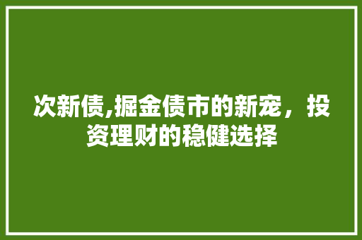 次新债,掘金债市的新宠，投资理财的稳健选择