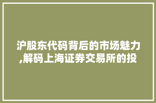 沪股东代码背后的市场魅力,解码上海证券交易所的投资者图谱