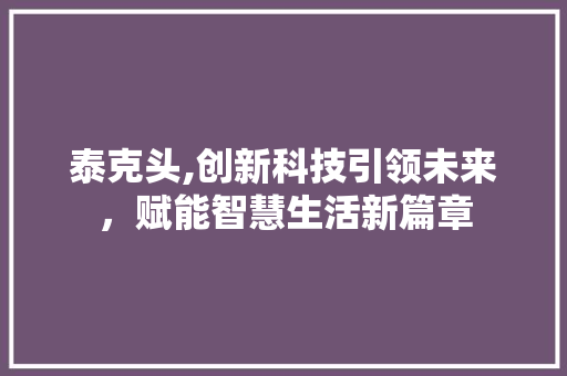 泰克头,创新科技引领未来，赋能智慧生活新篇章
