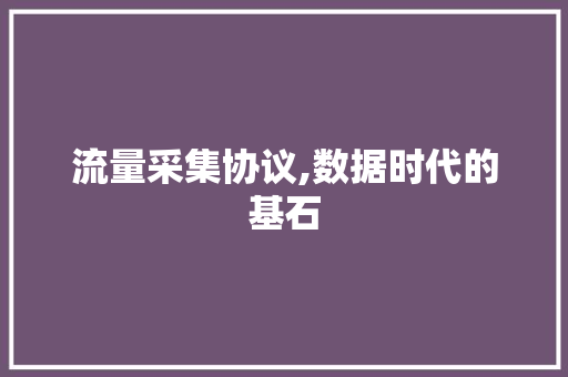 流量采集协议,数据时代的基石 花朵知识