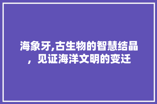 海象牙,古生物的智慧结晶，见证海洋文明的变迁