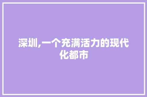 深圳,一个充满活力的现代化都市