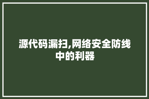源代码漏扫,网络安全防线中的利器
