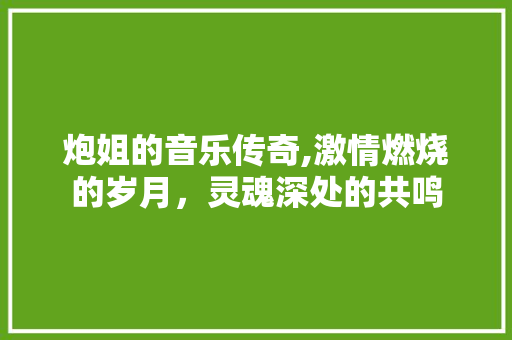 炮姐的音乐传奇,激情燃烧的岁月，灵魂深处的共鸣 土壤施肥