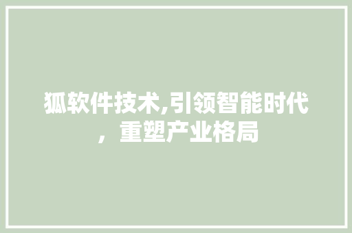 狐软件技术,引领智能时代，重塑产业格局