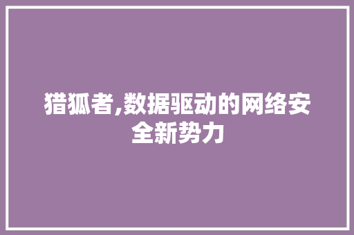 猎狐者,数据驱动的网络安全新势力