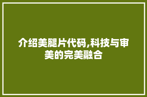 介绍美腿片代码,科技与审美的完美融合