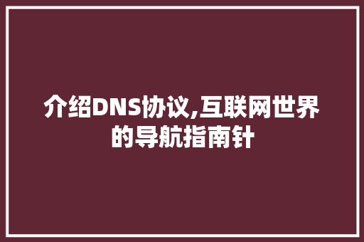 介绍DNS协议,互联网世界的导航指南针 花朵知识