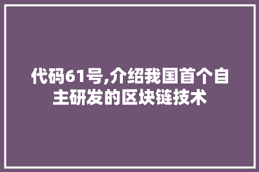 代码61号,介绍我国首个自主研发的区块链技术