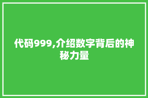 代码999,介绍数字背后的神秘力量