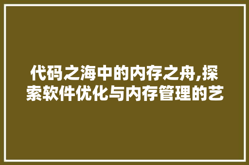 代码之海中的内存之舟,探索软件优化与内存管理的艺术