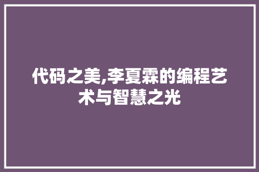 代码之美,李夏霖的编程艺术与智慧之光