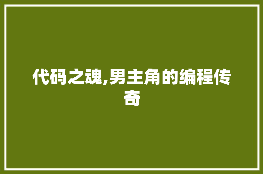 代码之魂,男主角的编程传奇