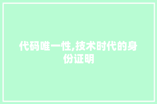 代码唯一性,技术时代的身份证明